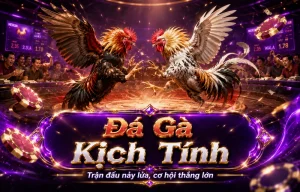 Đá Gà l9wcoopkitchen